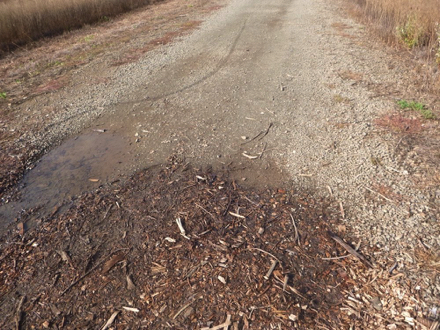 Trail of mixed surfaces – natural surface may be muddy when wet – bark chips – wide trail with vegetation on sides